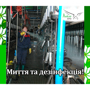 Миття та дезінфекція