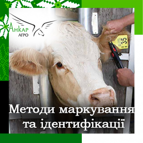 Методи маркування та ідентифікації