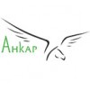 Ankar