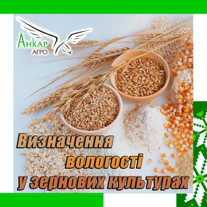 Визначення вологості у зернових культурах