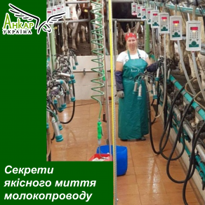 Секрети якісного миття молокопроводу