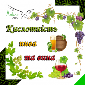 Кислотність пива та вина 