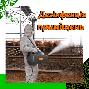 Дезінфекція приміщень