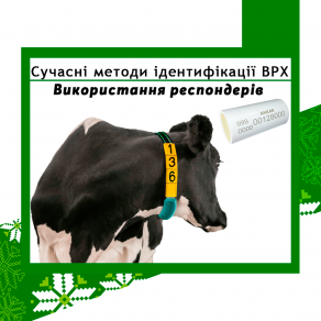 Сучасні методи ідентифікації ВРХ. Використання респондерів
